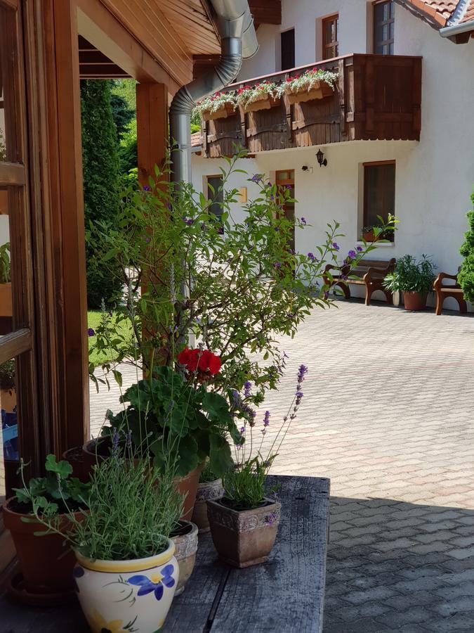Sommer Panzio Balatonföldvár エクステリア 写真